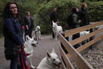 bei den gro&szlig;en Katzen